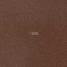 Radici Nexus Visone 8204 фото 1 | FLOORDEALER